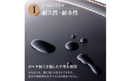 ランドセル スタンダードカラー オリジナルランドセル 入学祝い
