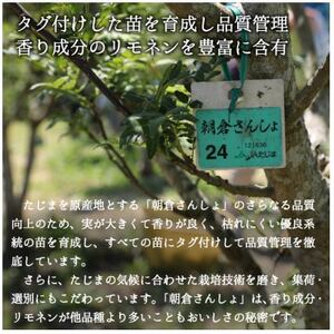 朝倉さんしょ　500g【配送不可地域：離島】【1616570】