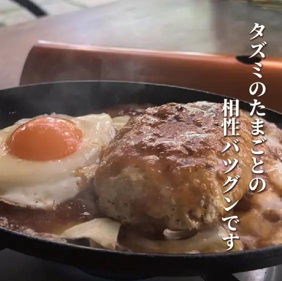 【大人気古民家レストラン】勢賀の郷　チキンハンバーグ（4個入り）009VS01N.／播州百日鶏 淡路玉ねぎ タズミの卵使用 ヘルシー 鶏肉 ハンバーグ 百日どり 国産 bbq バーベキュー アウトドア