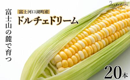 ＜2025年8月発送＞富士河口湖町産Inakakara「ドルチェドリーム」20本