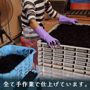 【秀品】【松山市中島産】寒ひじき 100g天然 ひじき 乾燥ひじき 海産物 海藻  寒ひじき 煮物 貴重 ひじき 無添加 ひじき サラダ 鉄分 国産 愛媛 松山 瀬戸内  テッパン返礼品 新着【OG0