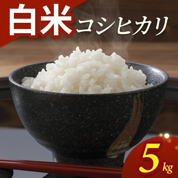 
                  令和7年産【白米】コシヒカリ　5kg(5kg×1袋) YA SA2844
                