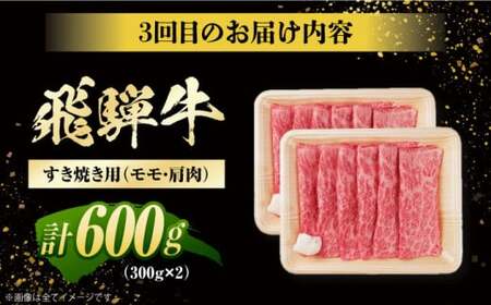 【3回定期便】 飛騨牛 モモ・肩肉 毎月600g しゃぶしゃぶ 焼肉 すき焼き / 牛肉 飛騨牛 和牛 / 白川町 / 浅井商店[AWBJ008]