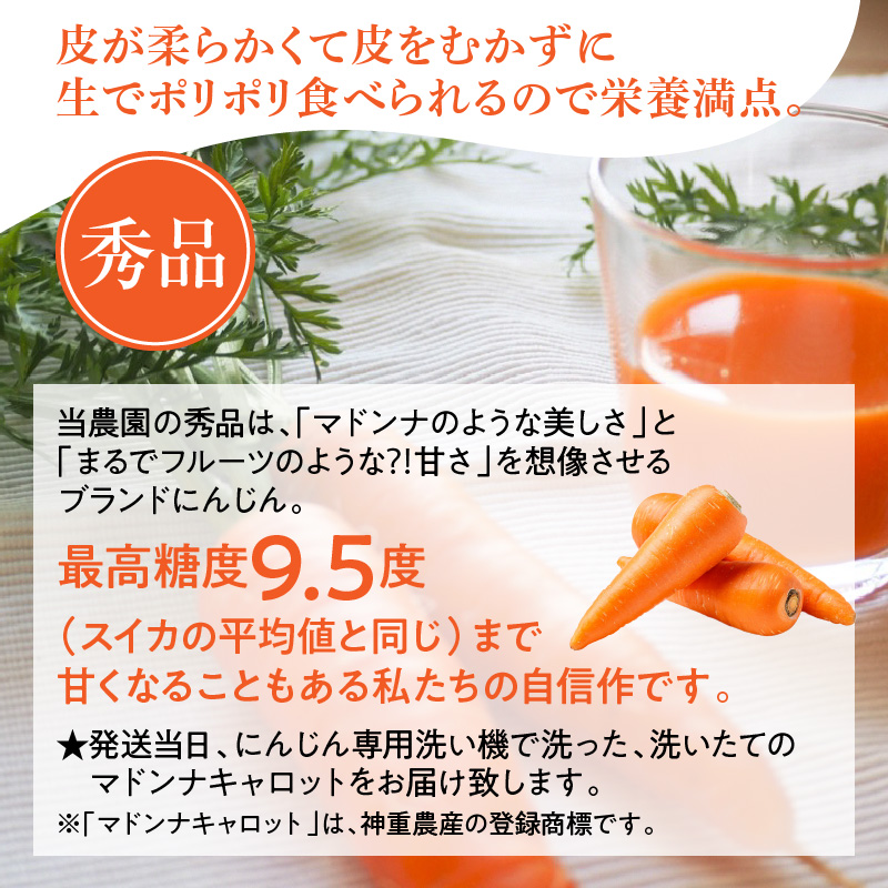 ＜フジテレビ『どっちのふるさと？』で紹介されました！＞ こどもも食べられる甘み！ジュースにしても美味しい！「マドンナキャロット」 10kg にんじん 野菜 H105-123
