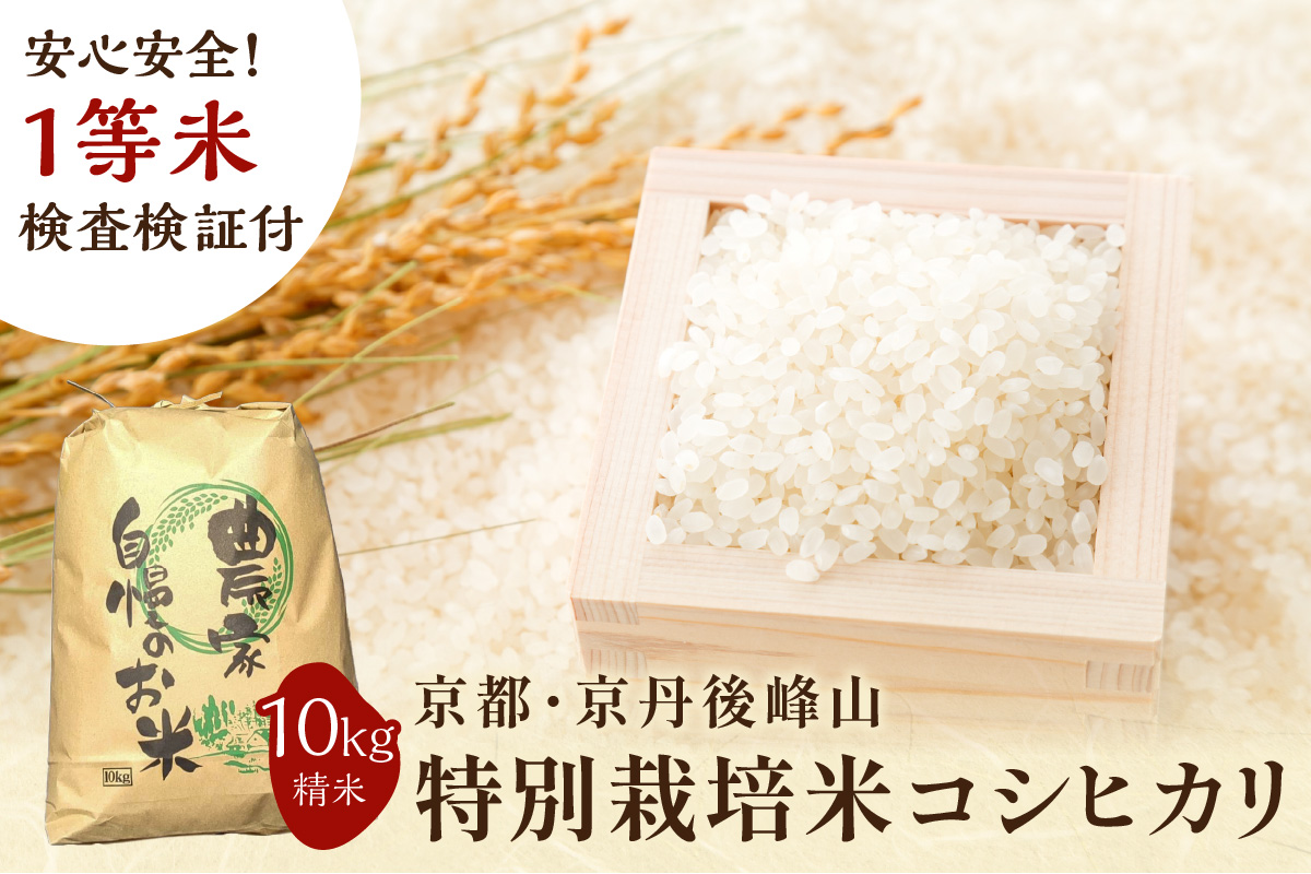 2024年産 京都・京丹後峰山 特別栽培米コシヒカリ 10kg 【白米】 1等米 検査済証付　MF00034