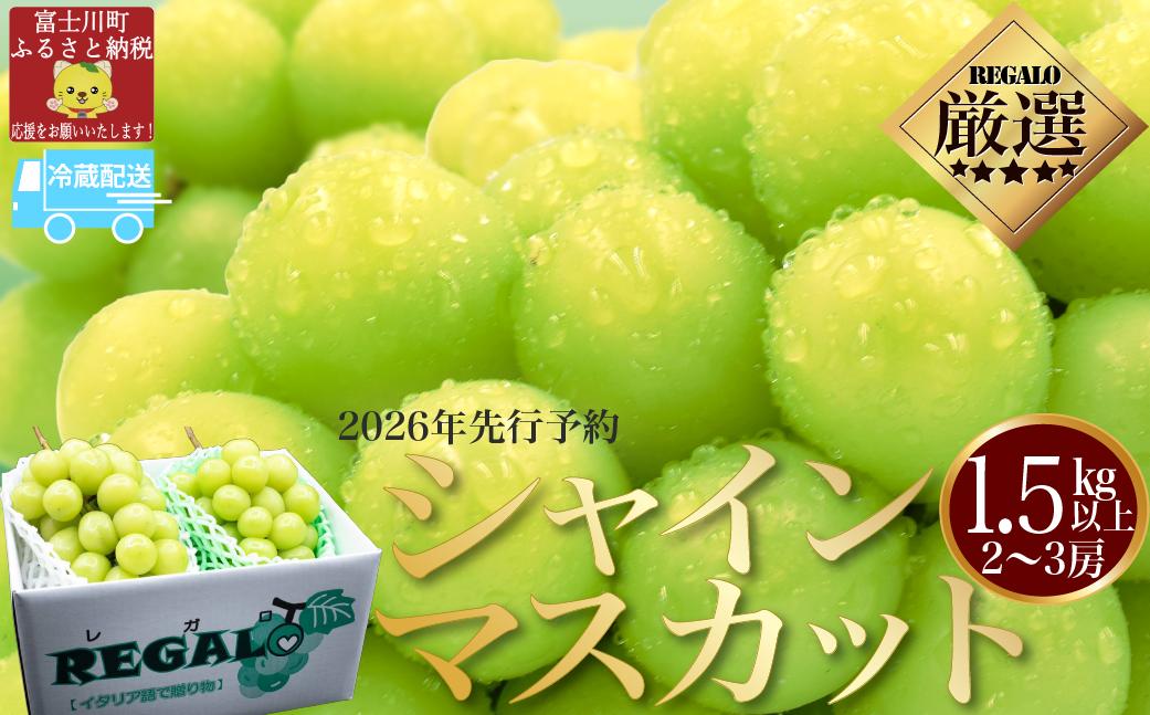 
            【2026年発送分 先行予約】頬張る幸福感　～緑の宝石・シャインマスカット～　１．５ｋｇ以上（２～３房）※冷蔵発送※ フルーツ 山梨県産 果物 シャイン マスカット ぶどう ブドウ 大粒 種なし 種無し 先行予約 富士川町
          