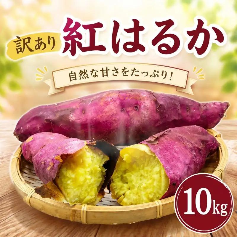 【11月中旬～12月下旬発送】 訳あり さつまいも 紅はるか 約10kg さつまいも