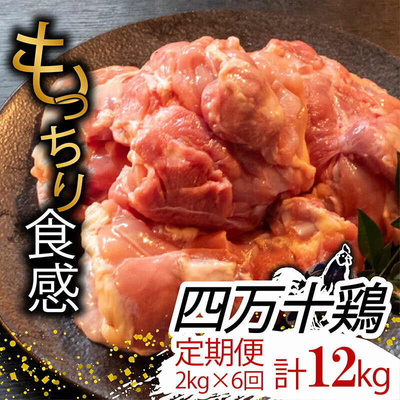 【ふるさと納税】 【定期便6回】銘柄鶏 四万十鶏 もも肉 計12kg（2kg×6ヶ月連続お届け) Tコース | 切身 カット 時短 小分け カット済み 鳥肉 とりにく 鶏もも 冷蔵 国産 ブランド 唐揚げ 煮物 鍋 チキン 南蛮 高知県 須崎市 ふるさと納税鶏肉定期便 TM22000