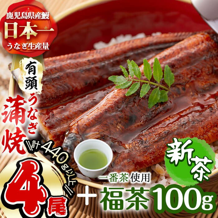 【ふるさと納税】【令和7年度産新茶】極うなぎ蒲焼+福茶(計440g以上・110g以上×4尾・福茶100g) うなぎ 鰻 ウナギ 蒲焼 4尾 真空パック 鰻重 うな丼 一番茶 緑茶 冷凍 お茶 有頭 セット【志布志市観光特産品協会】b3-007