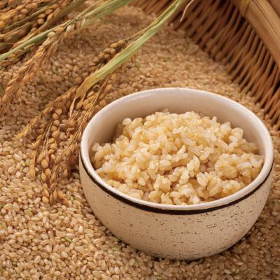 ふるさと納税 沼田町 【令和7年産 先行受付】 ななつぼし 玄米 5kg(5kg×1袋) 雪冷気 籾貯蔵 北海道 雪中米 |  | 01