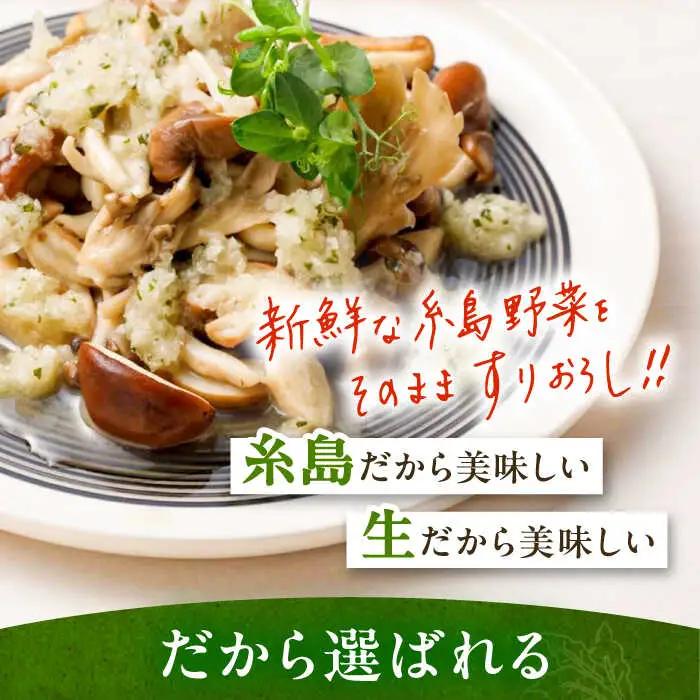 【全6回定期便/2ヶ月に1回】糸島野菜を食べる生ドレッシング おまかせ3本セット 糸島市 / 糸島正キ [AQA093]
