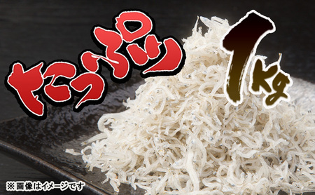 ちりめん 1kg 義丸のだんじり ちりめん