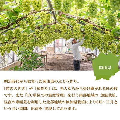 ＜2024年8月下旬より発送＞ご家庭用　岡山県産　シャインマスカット　晴王　400g×2房 TY0-0314