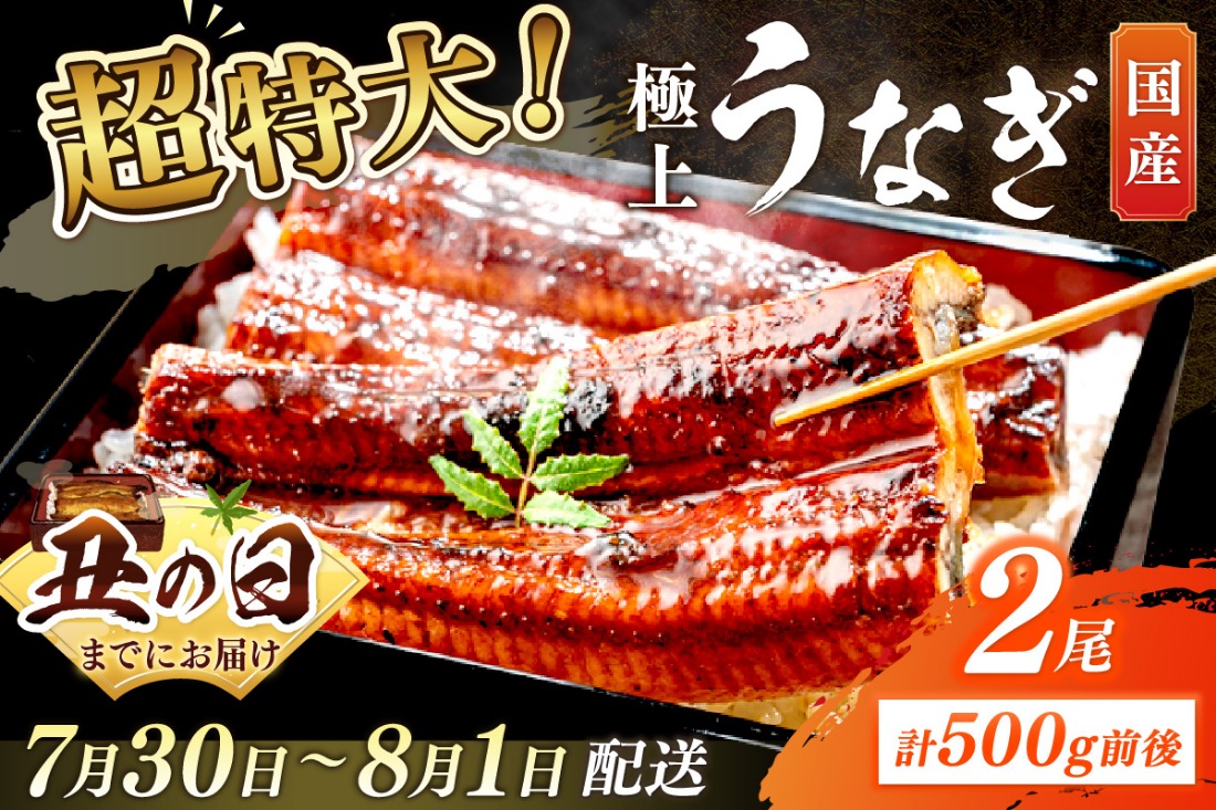 【7月30日～8月1日配送】超特大！極上！国産うなぎ蒲焼 2尾 合計500g前後　YK00401_02