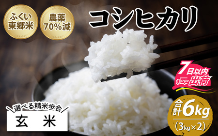 【玄米】令和5年産 ふくい東郷米 特別栽培米 農薬70％減  コシヒカリ 3kg×2袋 [A-020008_02]