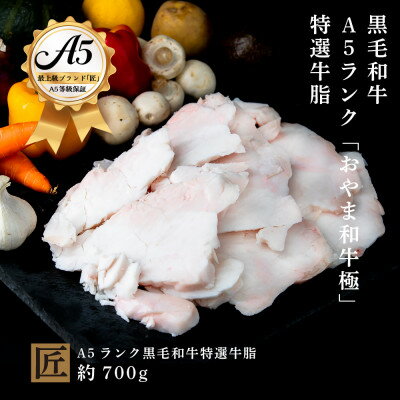 【ふるさと納税】おやま和牛 A5 極 牛脂約700g【配送不可地域：離島】【1096961】