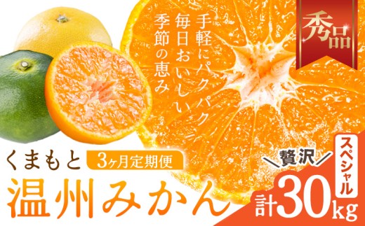 【3ヶ月定期便】みかん 定期便 秀品 温州みかん ペシャル 計30kg 日本フルーツ株式会社《10月上旬-12月末頃出荷》熊本県 長洲町 ミカン 蜜柑 柑橘類 極早生 早生 中生 果物 フルーツ
