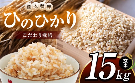 こだわり栽培 熊本県産 ひのひかり 玄米 約15kg | お米 米 こめ ごはん 玄米 熊本県 玉名市