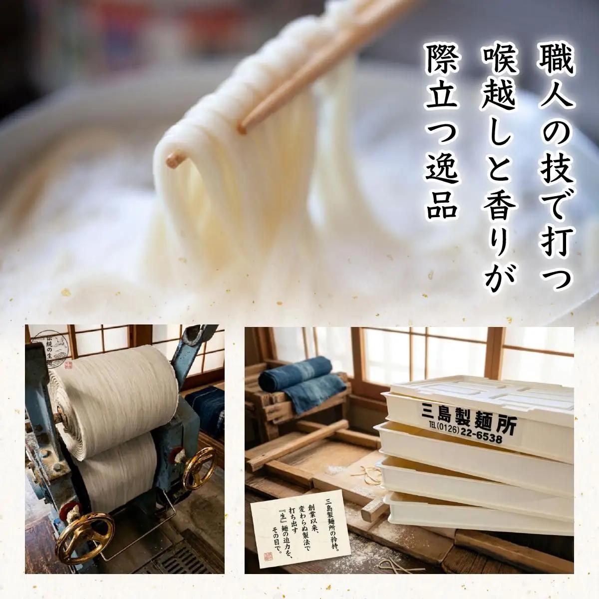 【生麺食べ比べ】至高の5種10食セット[a176-001] 