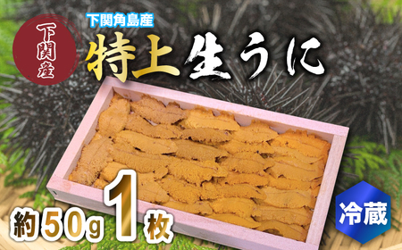 生うに 特上品 1枚 約50g 紫うに 赤うに 冷蔵 下関 唐戸市場 直送 ( うに ムラサキウニ アカウニ 生うに 雲丹 角島産うに 下関生うに 板うに ウニ 雲丹 うに 紫ウニ ウニ丼 魚介 海産物 海の幸 うに丼 うに刺身 おつまみうに 冷蔵生うに 新鮮うに 角島うに )