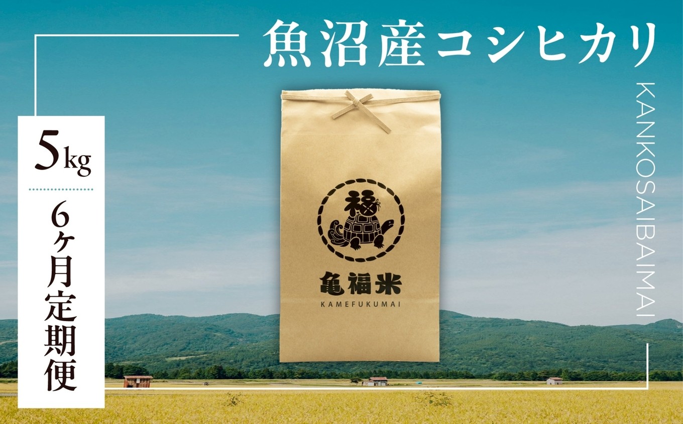 
                  【6ヶ月定期便】令和7年産 魚沼産コシヒカリ「亀福 慣行栽培米」5kg | お米 おこめ 白米 精米 おすすめ 人気 新潟県 津南町 株式会社亀福
                