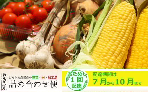 【期間限定】白馬そだち（旬の野菜・米・加工品）詰合せ便（全1回）2025年7月から10月までの間にお届け/長野県白馬村　旬の野菜　詰め合わせ　セット　直送【H0040195】