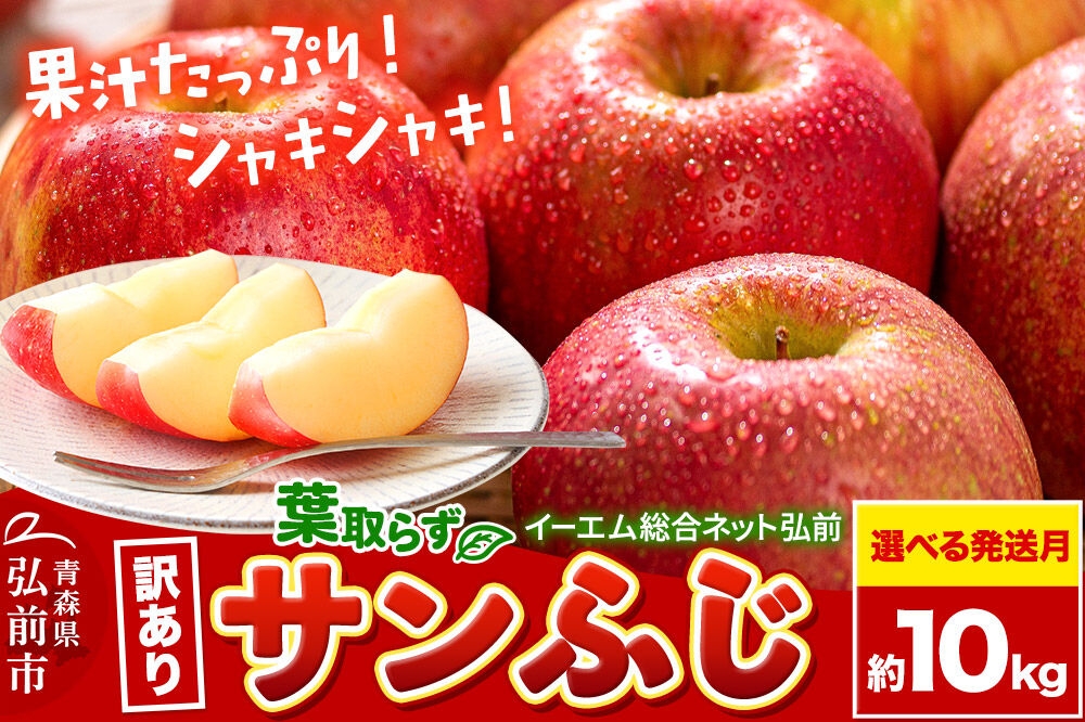 
                  りんご【選べる 27年1月／2月／3月クール便 発送】りんご 葉取らず サンふじ【訳あり】約10kg 糖度13度以上 EMりんご 林檎 リンゴ 果物 くだもの フルーツ 青森県 弘前市 不揃い 規格外 [先行予約 家庭用 産地直送 アップル 青森県 弘前市]
                