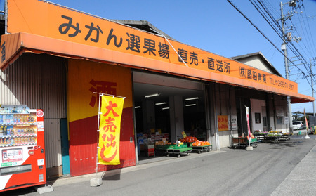 愛媛の夏橙（なつみかん）だけでつくった マーマレード 3個セット