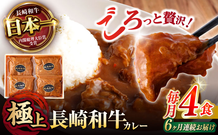 【6回定期便】【肉のプロが贈る 究極のカレー】長崎和牛 A5 カレー 約240g×4袋 / カレーライス かれー レトルト 牛 和牛 / 諫早市 / 野中精肉店 [AHCW099]