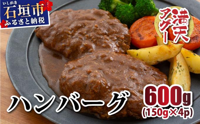 満天アグーと石垣牛のハンバーグ 150g×4 | ふるさと納税 沖縄県 石垣市 石垣 沖縄 石垣島 ふるさと 人気 送料無料 アグー 豚 豚肉 ポーク
