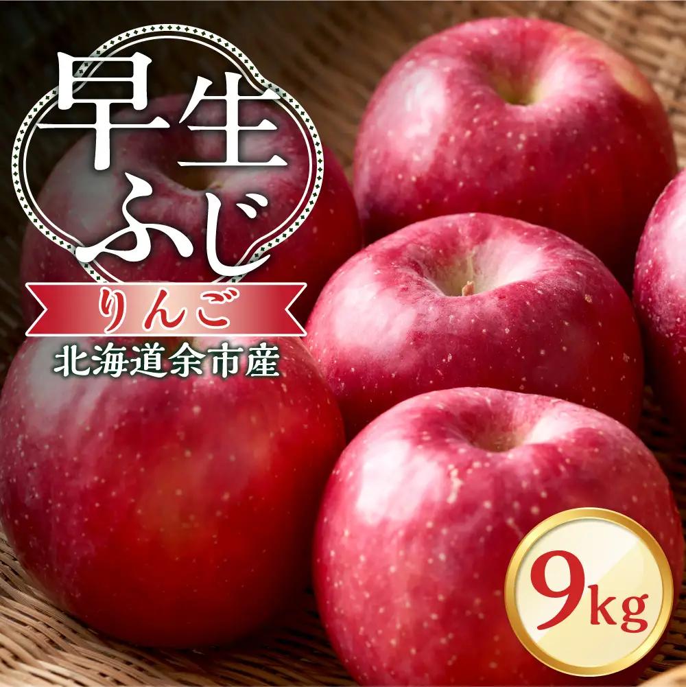 【先行予約：2026年10月中旬より発送】りんご（早生ふじ）9kg【北海道余市町産】_Y103-0092