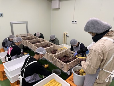 【ふるなびWEEK対象】生芋　10kg　S～Lサイズ混合　1箱 いも長 ｜ さつまいも いも 生いも 紅はるか 国産 ※離島への配送不可 ※2025年12月下旬頃より順次発送予定