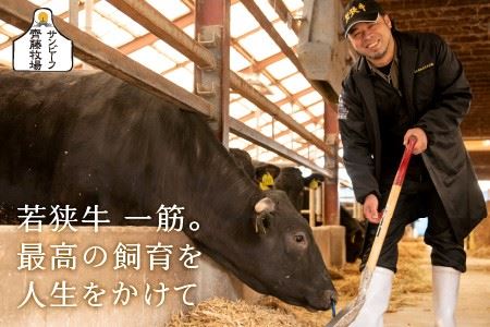 若狭牛焼肉 特上カルビ六種 盛り合わせ 計600g【C-1851】