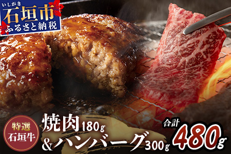 特選石垣牛100%ハンバーグ100g×3個＋特選石垣牛元卸お任せ焼肉180gセット  I-17-1