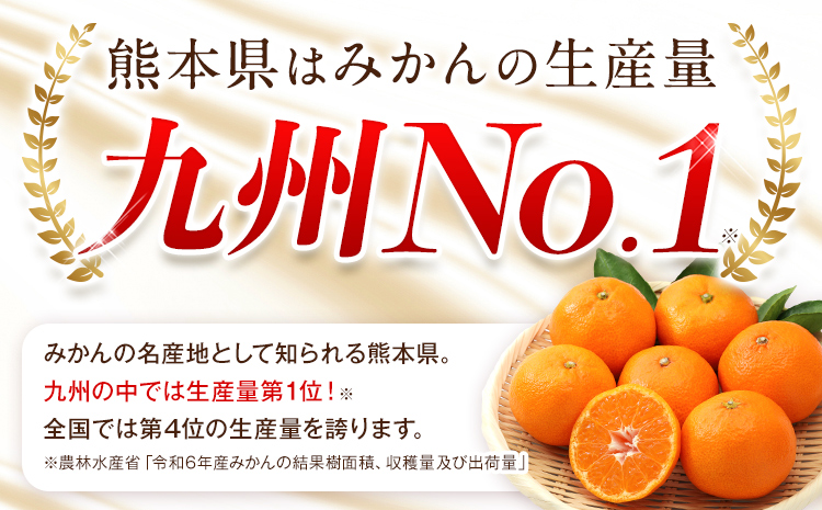 みかん 訳あり くまもとみかん 約4.5kg S-2Lサイズ サイズ混合 ご家庭用《7-14日以内に出荷予定(土日祝除く)》 訳あり みかん フルーツ サイズ混合 秋 旬 柑橘 熊本県 長洲町 熊本県