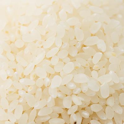 ふるさと納税 津山市 【突鉱土育ち】津山産トッコウ米(こしひかり)5kg |  | 02
