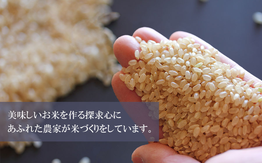 【令和7年産先行予約】【定期便】山形はえぬき 精米10kg(5kg×2袋)×12ヶ月　山形県鶴岡市産　鶴岡ファーマーズ