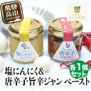 【ふるさと納税】自然栽培調味料シリーズ 唐辛子旨辛ジャン 塩にんにく ペースト 塩 飛騨高山よしま農園 CK010VP