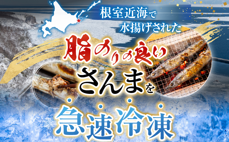 【北海道根室産】冷凍さんま20尾入り A-36003