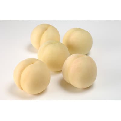 2026年予約受付　岡山県産　夢白桃　5玉(ロイヤル)【配送不可地域：離島】【1672009】