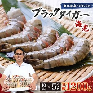 【毎月定期便】魚兵水産こだわりのブラックタイガー海老　 10尾5パック(計1200g程度)全3回【配送不可地域：離島】【4067304】