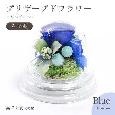 ふるさと納税 羽島市 プリザーブドフラワー ドーム型アレンジ 【ミニドーム(ブルー)】