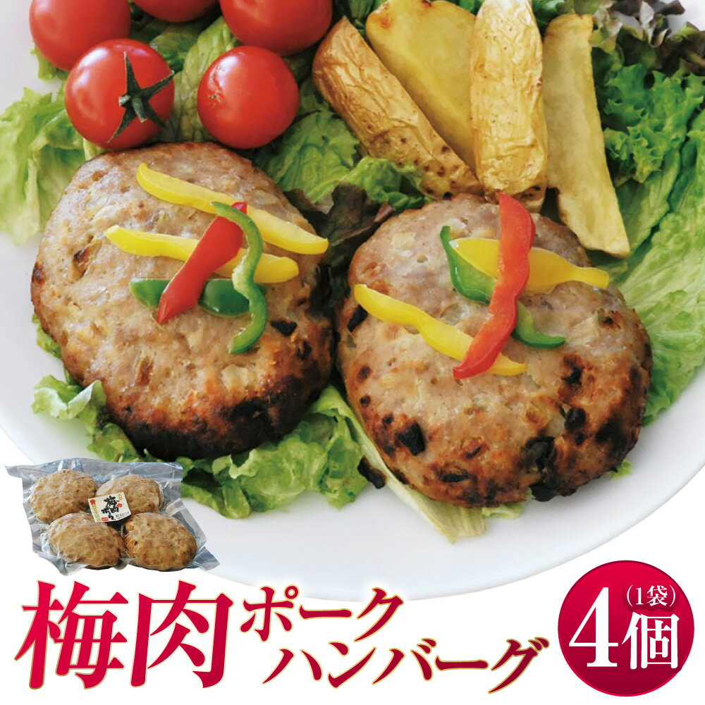 【ふるさと納税】梅肉ポークハンバーグ 4個 ハンバーグ 天草梅肉ポーク 豚肉 肉 小分け 惣菜 おかず 要調理 レンジ 簡単調理 冷凍 お取り寄せ 熊本県 上天草市 送料無料