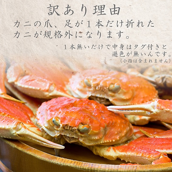 【蒸し】ご自宅用　松葉ガニ 中 3枚 / (１枚500〜640ｇ前後) ずわいがに カニ TM8 0718