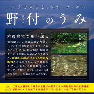 いくら ホタテ 海鮮 セット ！ 北海道 帆立M 500g & いくら 醤油漬け 250g【be018-1257】（野付漁業協同組合） 水産事業者支援