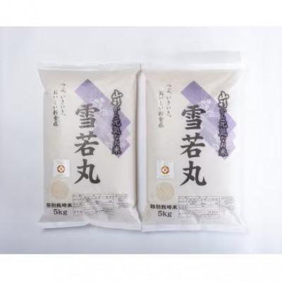 ふるさと納税 南陽市 【令和8年産】山形県産　特別栽培米　雪若丸　精米　10kg　10月下旬〜順次発送【S2407】