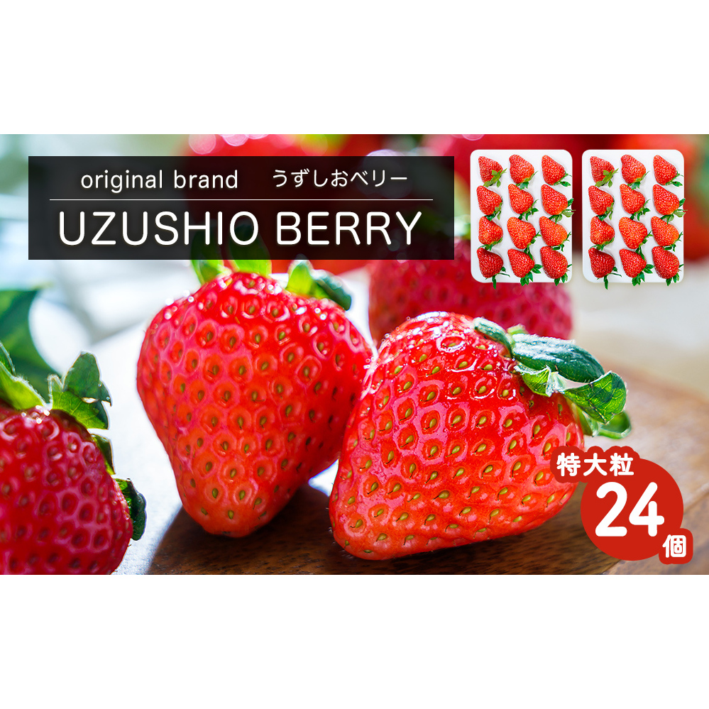 【朝摘みをお届け！】【2025年12月中旬頃より順次発送】 フルーツガーデンやまがたのいちご「うずしおベリー」特大粒24個  【数量限定】 いちご フルーツ 果物 苺 イチゴ 旬の果物 季節の果物 鳴