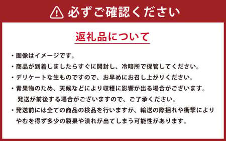 【年3回定期便】  くまもと の すいか 食べ比べ 定期便 合計5玉 スイカ 西瓜 果物 くだもの フルーツ 【2025年4月上旬発送開始】