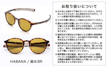 偏光サングラス アイ＆目元スキンケア「SOLAIZ OUTDOOR」ボストンモデル SLD-002 OUTDOOR HABANA/偏光BRレンズ (ハバナ / 偏光ブラウンレンズ) 1本 【サングラス