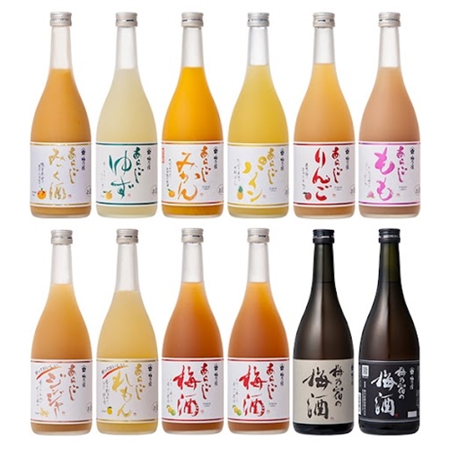 あらごしシリーズと梅酒720ｍl 12本 セット ／ 梅乃宿酒造 お酒 リキュール ギフト 人気 メーカー直送 みっく酒 ゆず みかん パイン れもん もも りんご ジンジャー 奈良県 葛城市